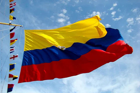 Crecimiento con valores